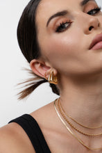 Load image into Gallery viewer, Juliana Hoop Earrings
