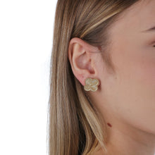Load image into Gallery viewer, Connie Earrings
