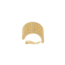 Load image into Gallery viewer, Michelle Earcuff Piercing

